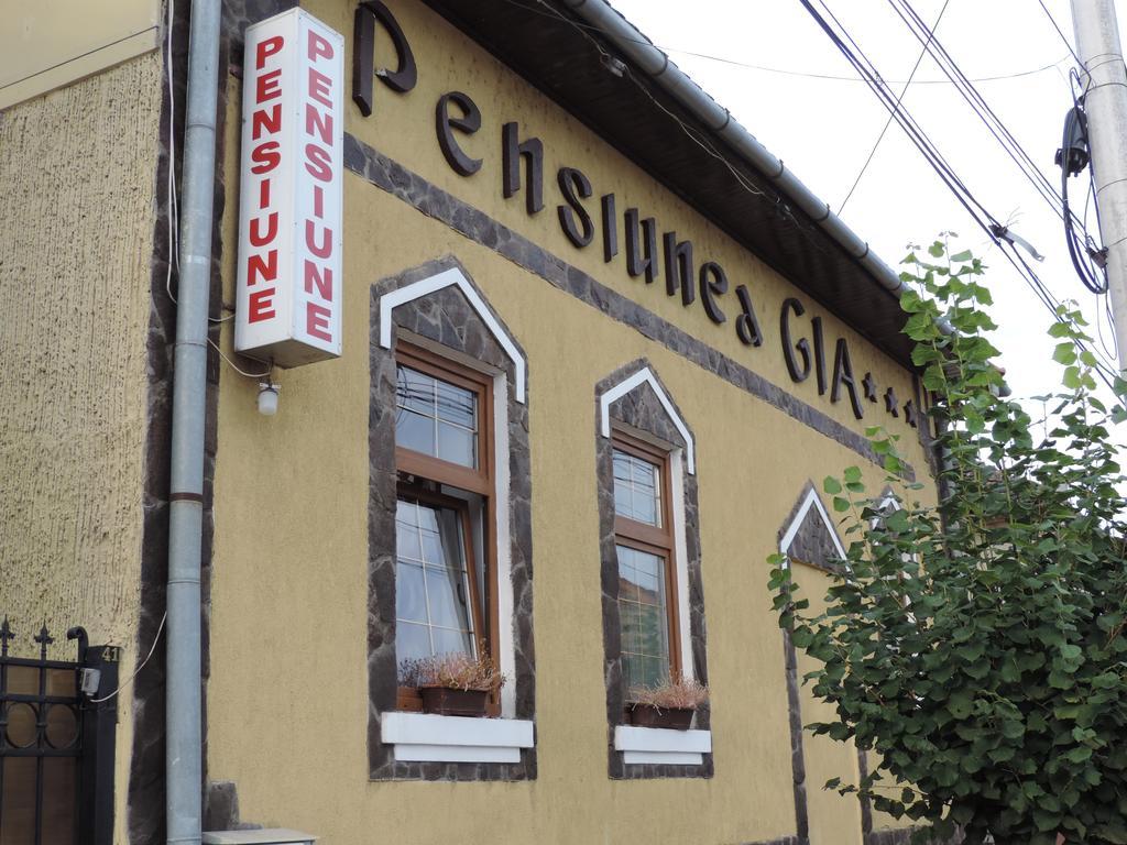 Pensiunea Gia Sighişoara Esterno foto